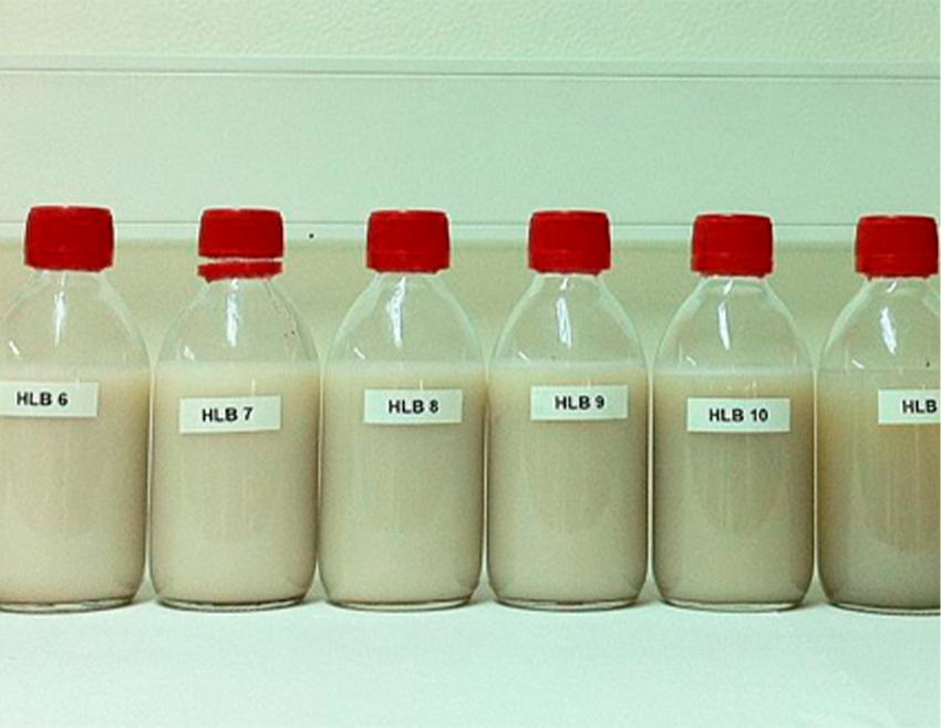 Estudio en laboratorio de surfactantes para movilizar HCH