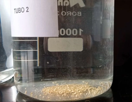 Ensayo de eficiencia del Enviroxi