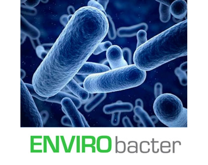 ENVIRObacter – Bactéries pour Bioremédiation des Hydrocarbures