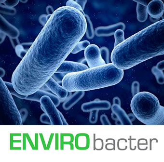 ENVIRObacter – Bacteria for Hydrocarbon Bioremediation