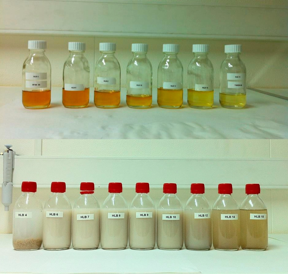 Ensayo de viabilidad